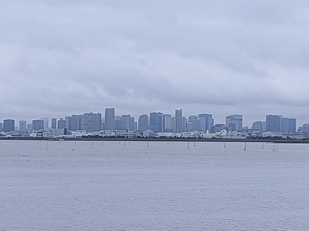 ディズニーランド外周ランの写真3