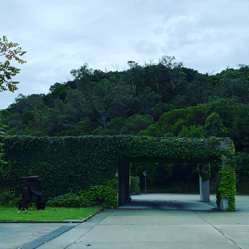 直島周回アートラン！の写真15