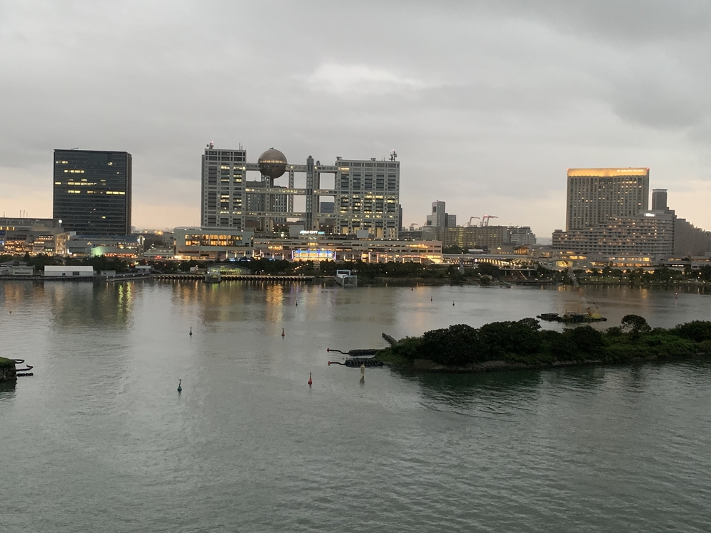 【月一沿線倶楽部】ゆりかもめトワイライトランの写真4