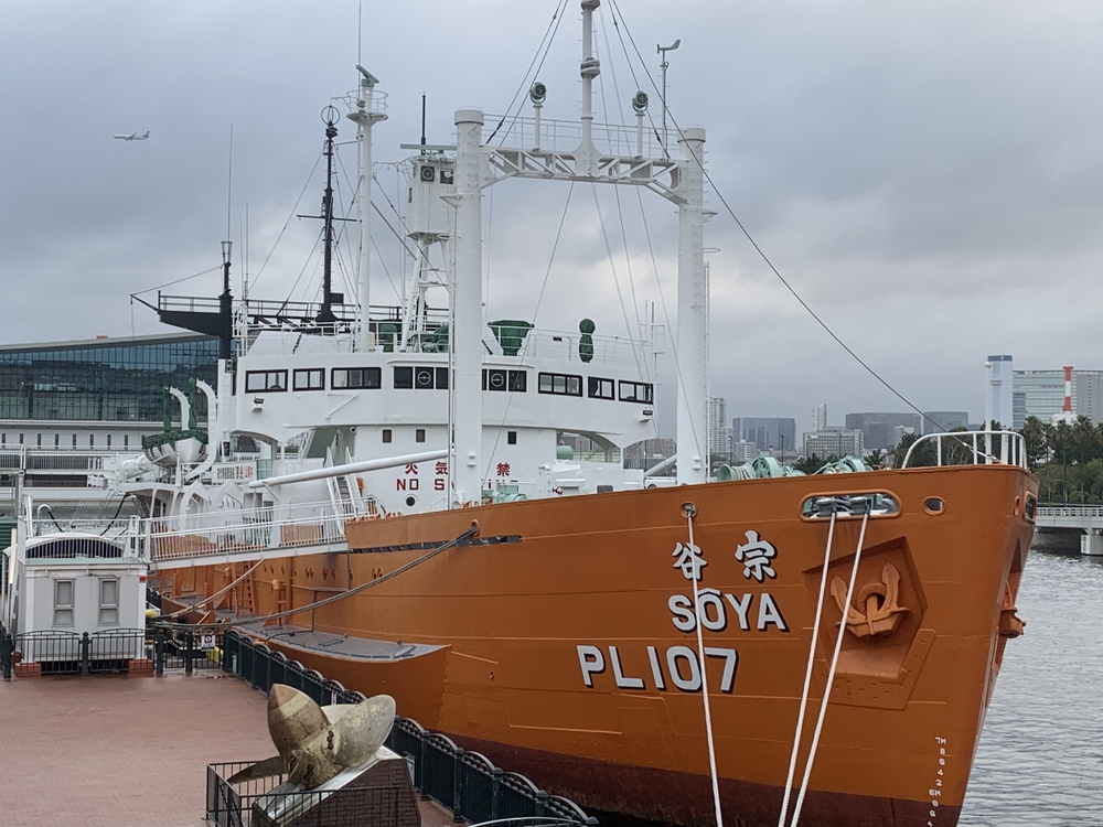 【月一沿線倶楽部】ゆりかもめトワイライトランの写真5