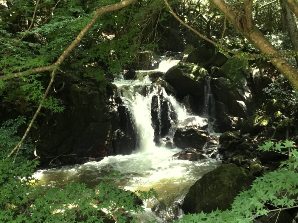 歴史と自然に触れる道『柳生街道』の写真5