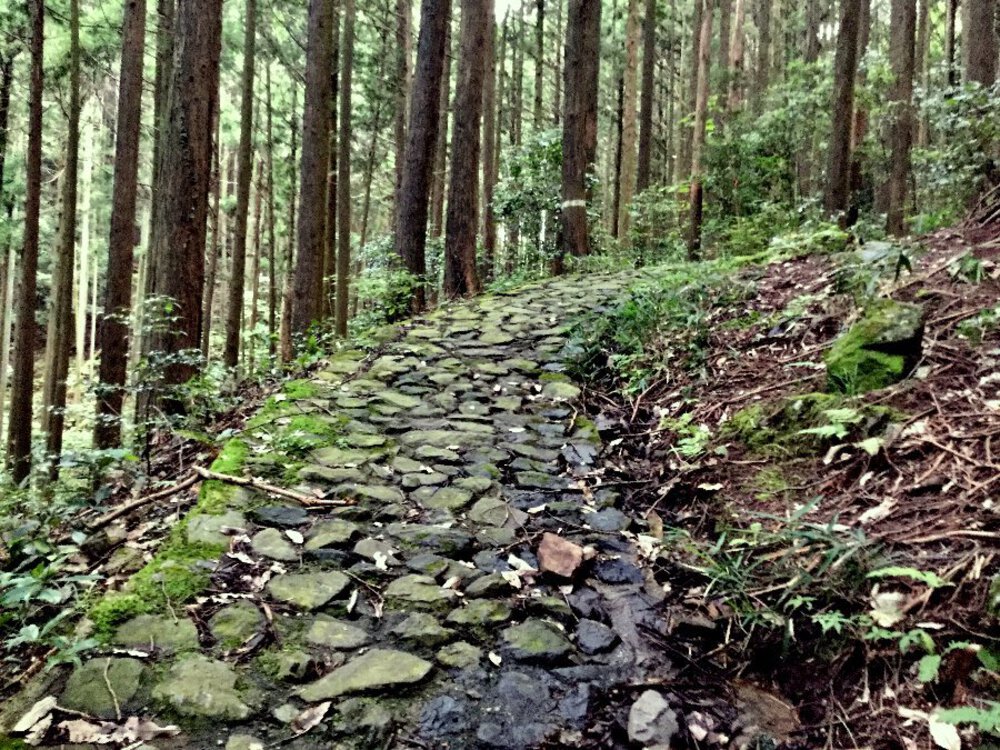 歴史と自然に触れる道『柳生街道』の写真7