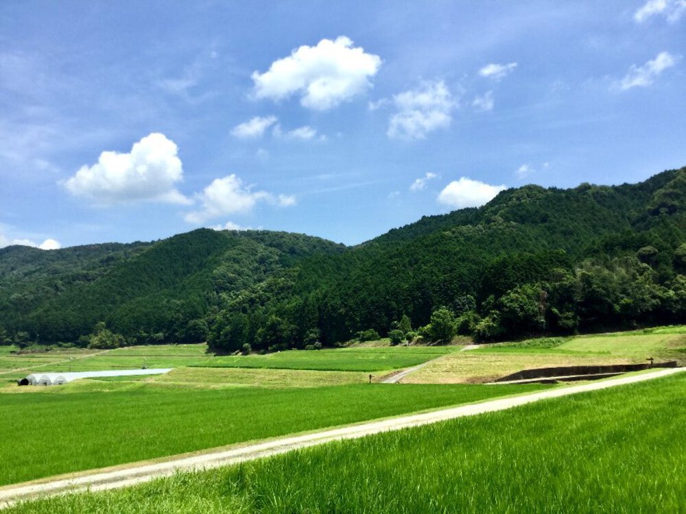 歴史と自然に触れる道『柳生街道』の写真8