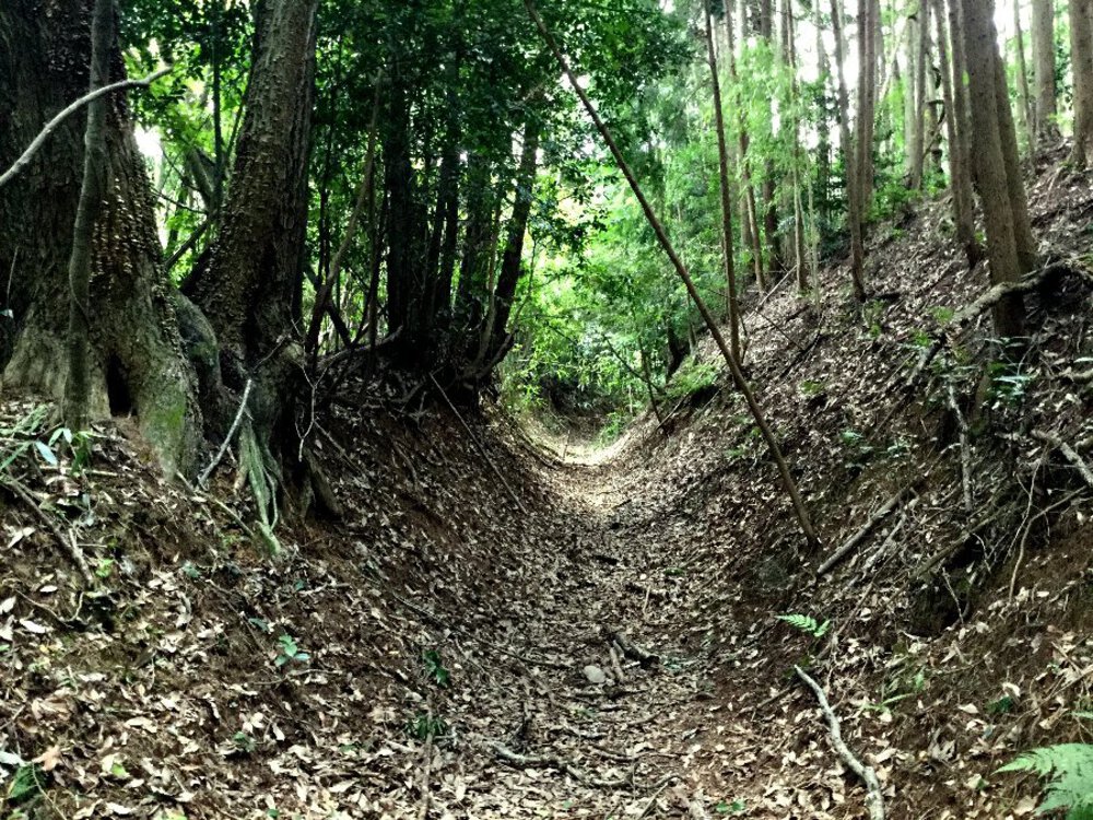 歴史と自然に触れる道『柳生街道』の写真11