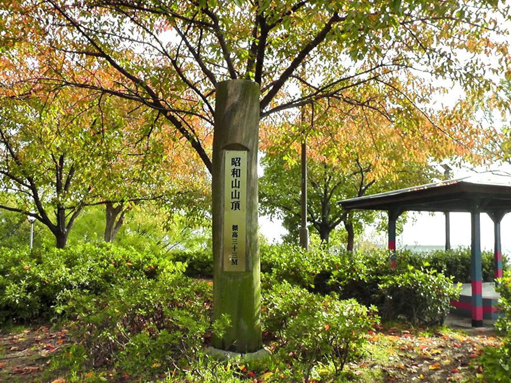 【リトル沖縄】大正区漫遊の写真16