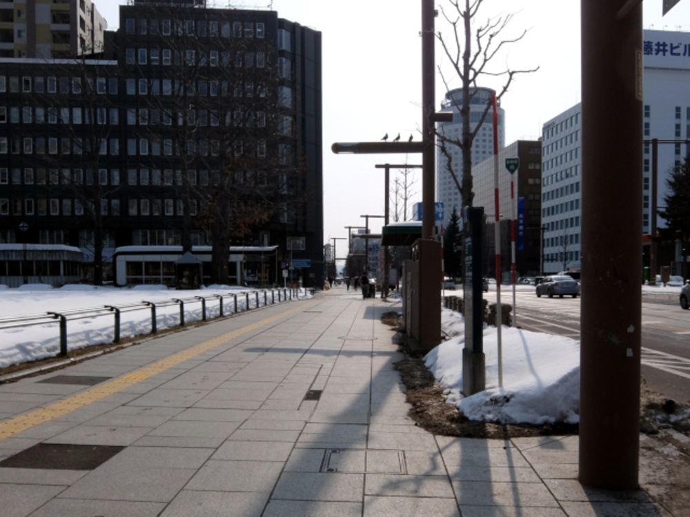 【東京オリンピック】マラソンコース 小さいループの写真3