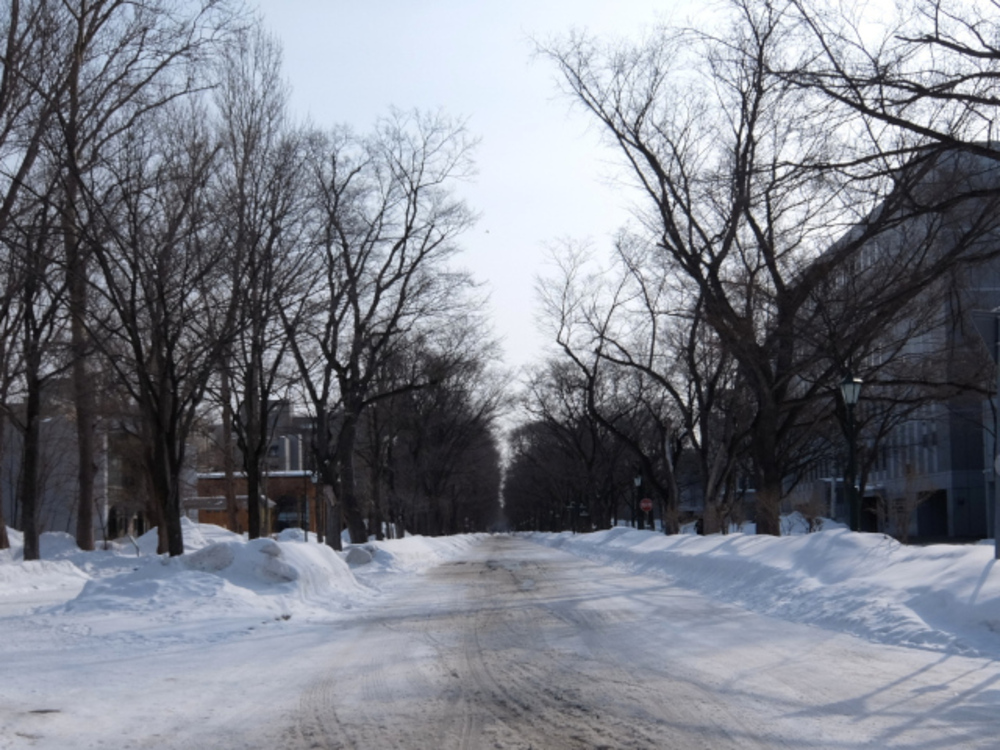 【東京オリンピック】マラソンコース 小さいループの写真6