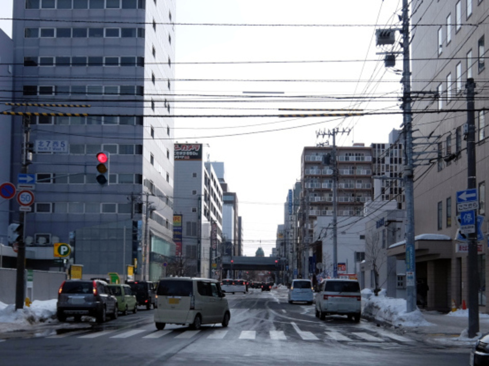 【東京オリンピック】マラソンコース 小さいループの写真8