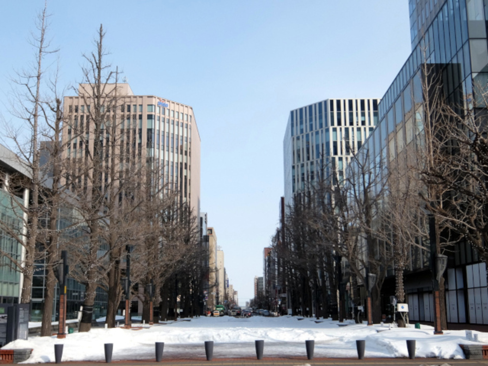 【東京オリンピック】マラソンコース 小さいループの写真10