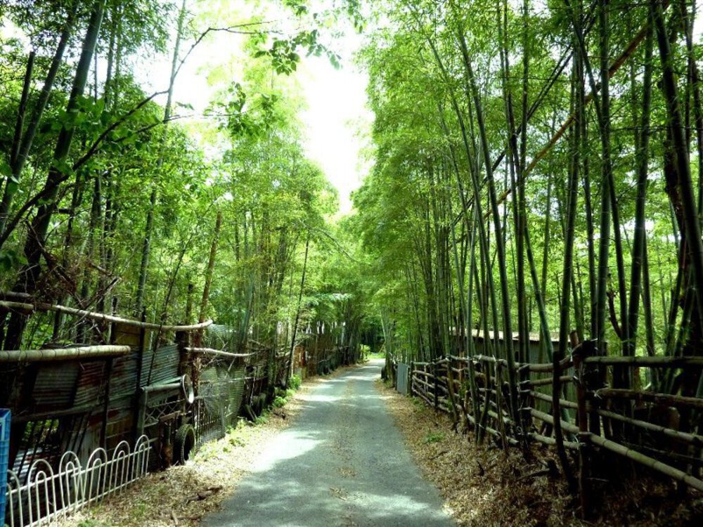 京都東山【階段めぐり】の写真5