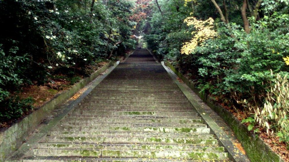 京都東山【階段めぐり】の写真13