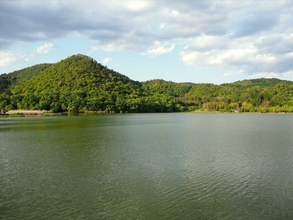 京都五山を西から東への写真5