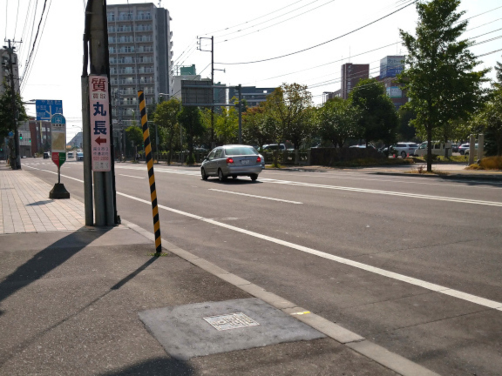 【東京オリンピック】マラソンコース 大きいループの写真3