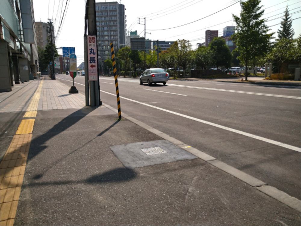 【東京オリンピック】マラソンコース 記念銘板巡りランの写真5