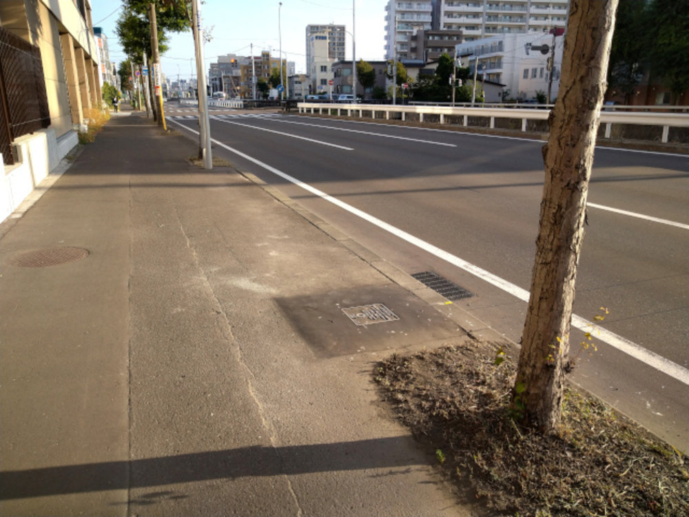 【東京オリンピック】マラソンコース 記念銘板巡りランの写真9