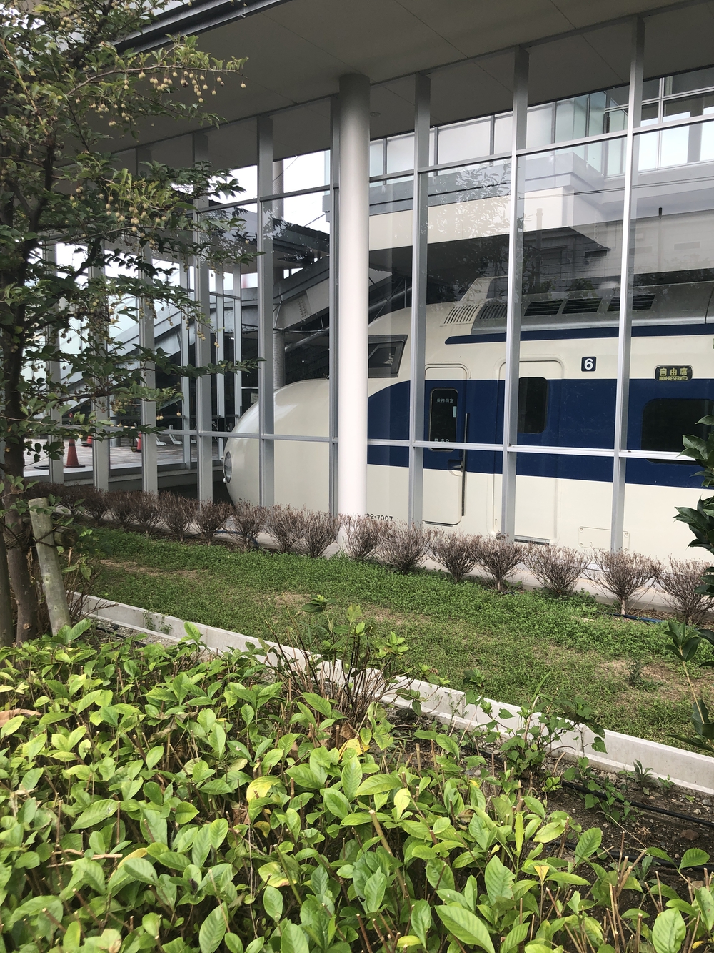 平坦なコースでインターバルとかするのに走りやすい！の写真5