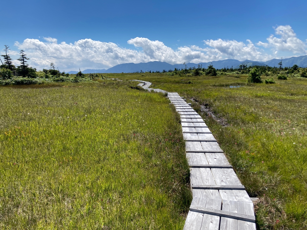 赤倉山・苗場山トレランの写真3