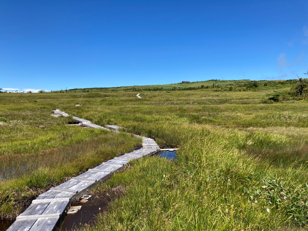 赤倉山・苗場山トレランの写真4