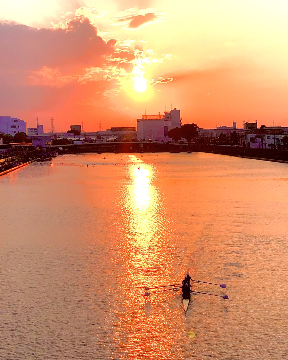 戸田市まちウォーク2021 ボートコースを観ながら歩いてみた‼︎の写真3