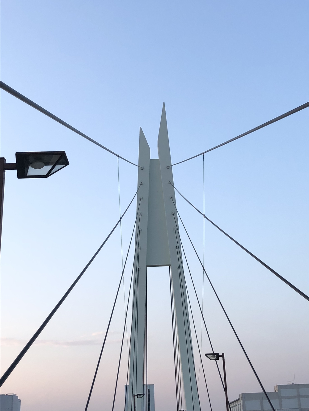 戸田市まちウォーク2021 ボートコースを観ながら歩いてみた‼︎の写真4