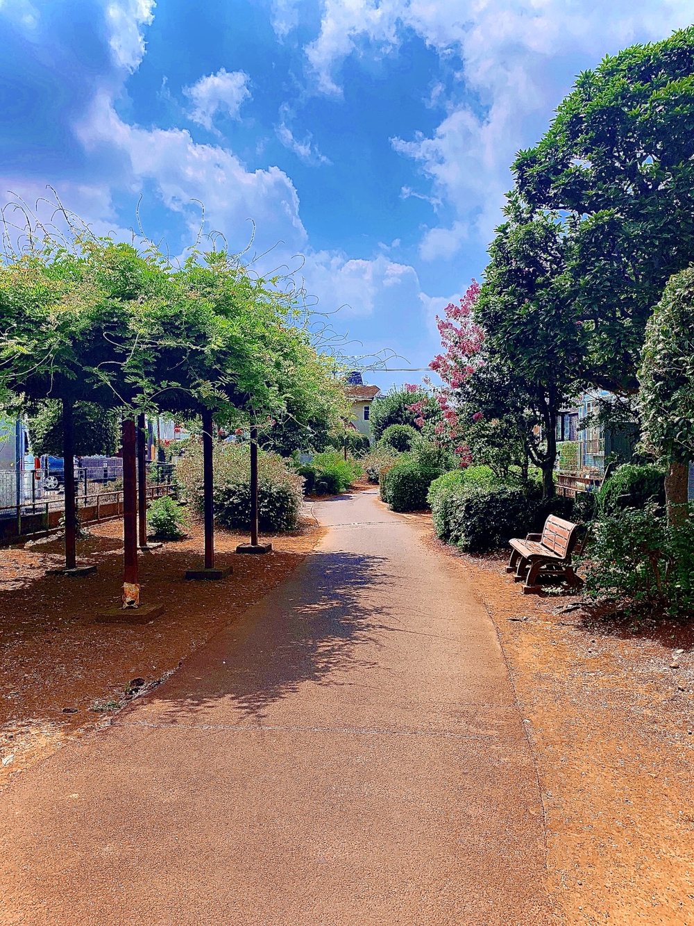 栄緑地(立川)、西町緑地(国分寺)、北緑地(国立)を結ぶ1.6kmの緑地の写真6