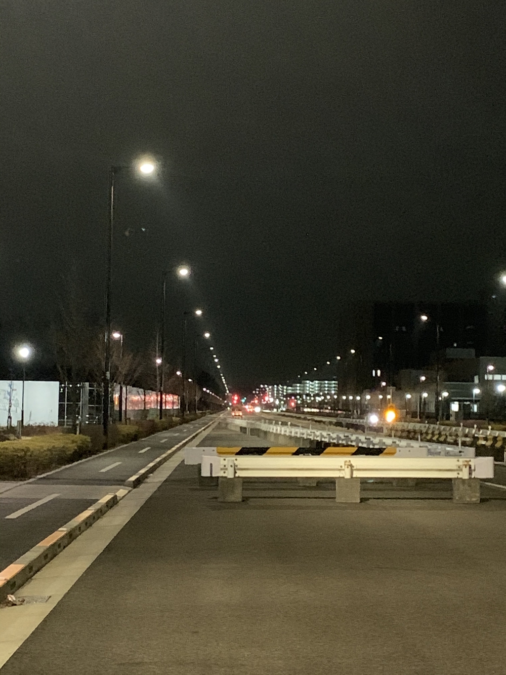 ルートはグリーンスプリングスに設定し、そこから10kmの写真3