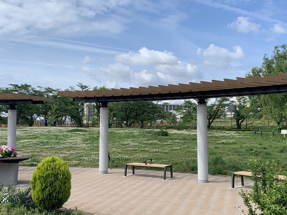 ルートはグリーンスプリングスに設定し、そこから10kmの写真4