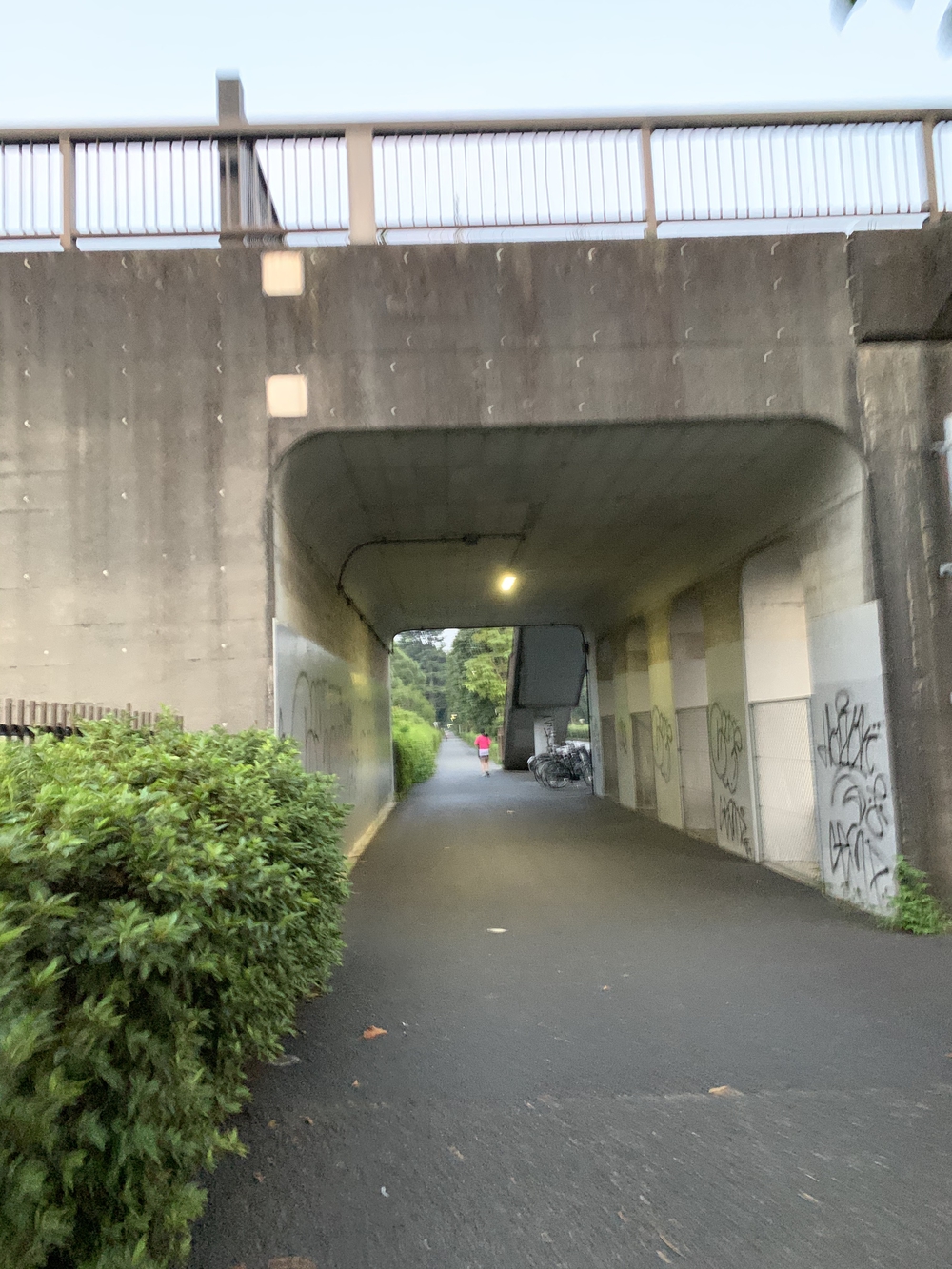 ルートはグリーンスプリングスに設定し、そこから10kmの写真5