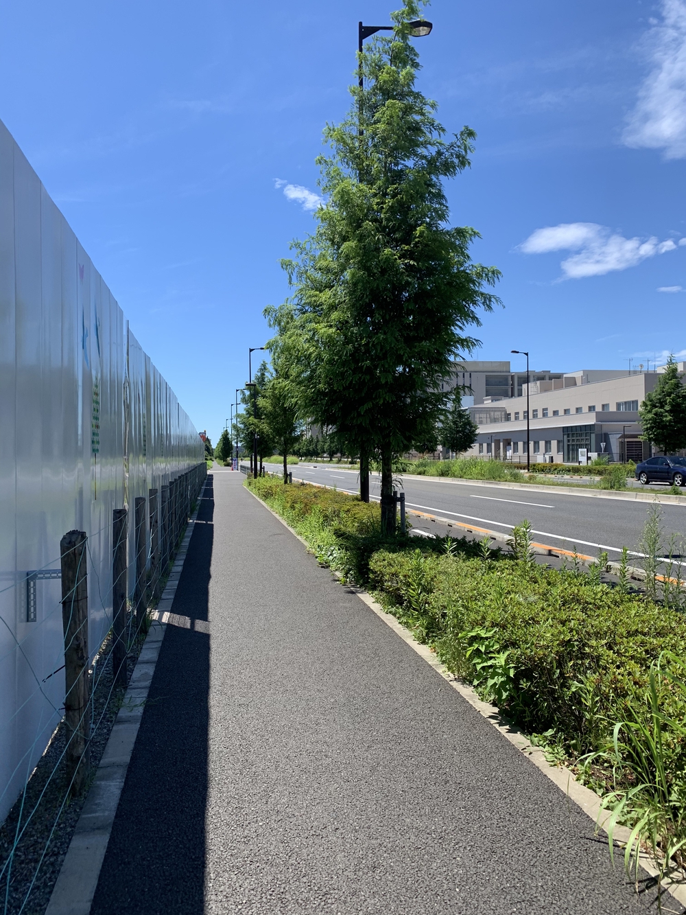 ルートはグリーンスプリングスに設定し、そこから10kmの写真6