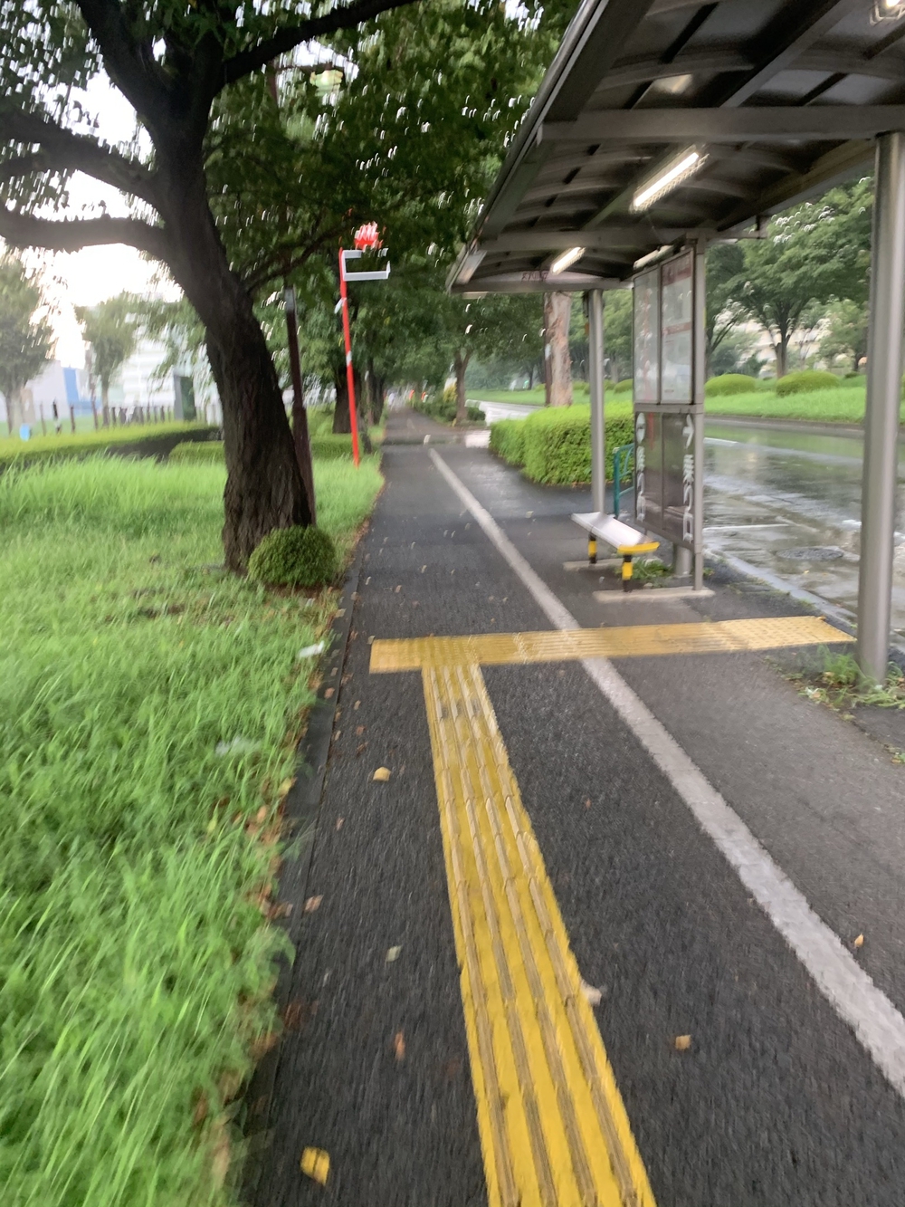 ルートはグリーンスプリングスに設定し、そこから10kmの写真7