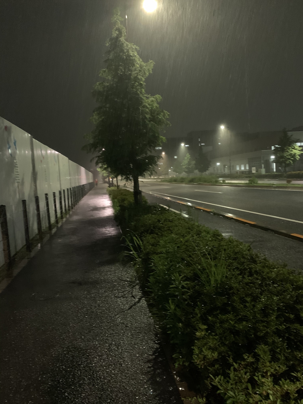 ルートはグリーンスプリングスに設定し、そこから10kmの写真10