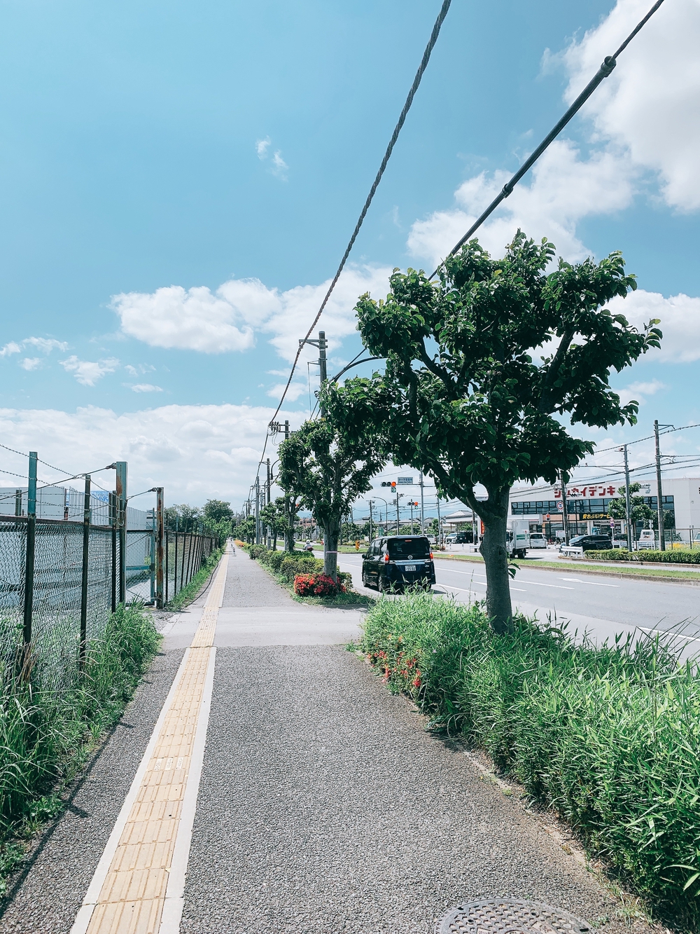 ルートはグリーンスプリングスに設定し、そこから10kmの写真14