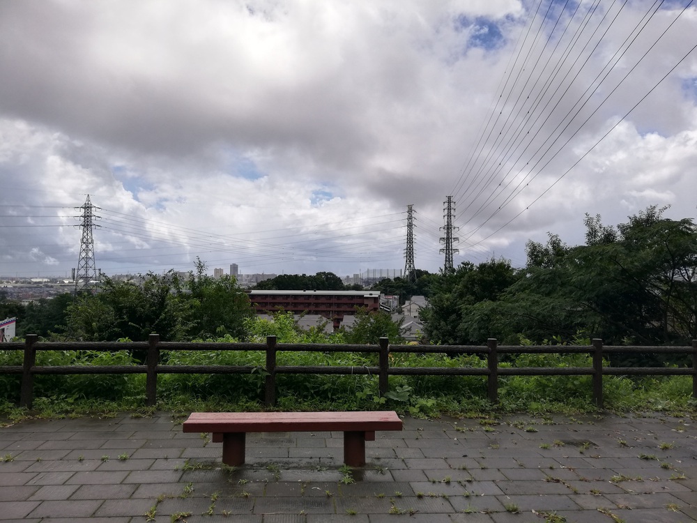 尾根道プチトレイルの写真3