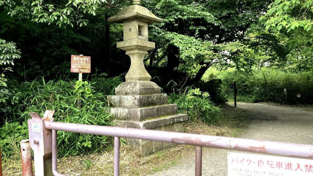 夏場の脚作りに【生駒ボルダー】の写真3