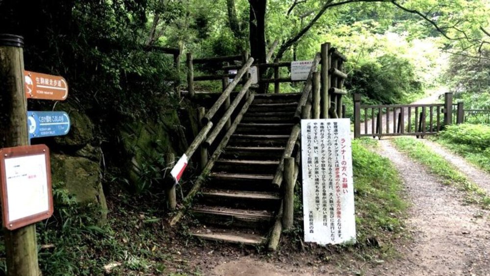 夏場の脚作りに【生駒ボルダー】の写真4