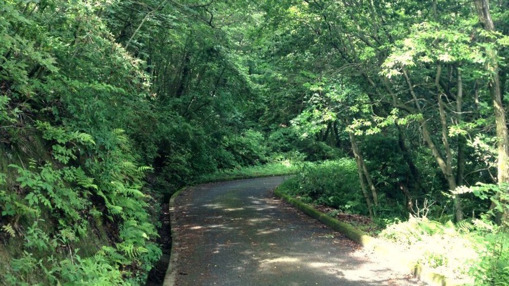 夏場の脚作りに【生駒ボルダー】の写真5