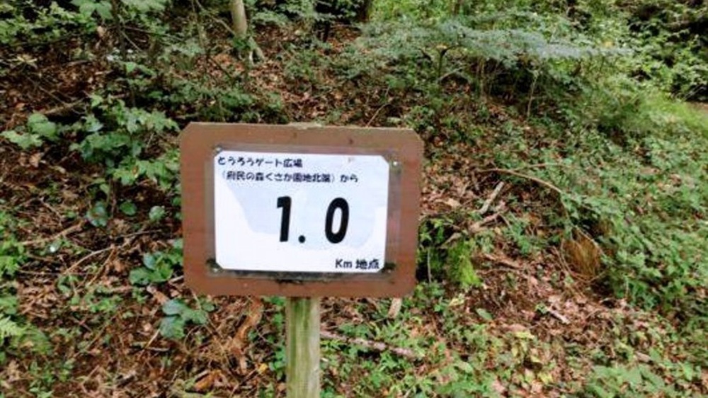 夏場の脚作りに【生駒ボルダー】の写真6