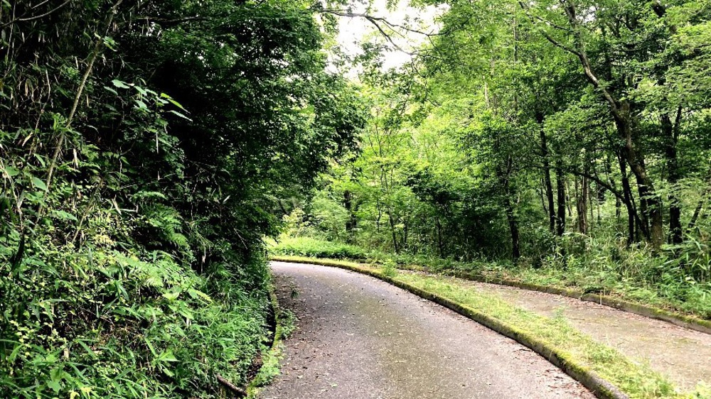 夏場の脚作りに【生駒ボルダー】の写真7