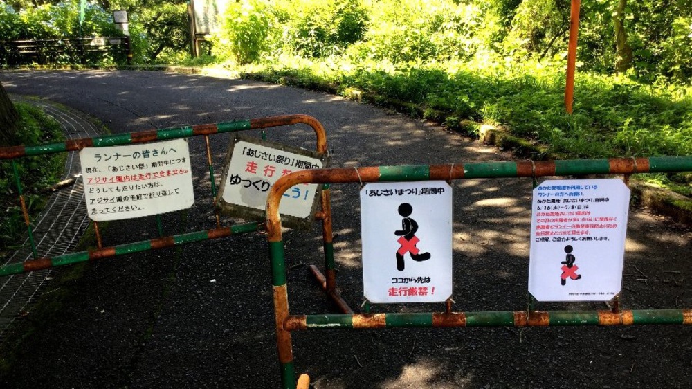 夏場の脚作りに【生駒ボルダー】の写真9