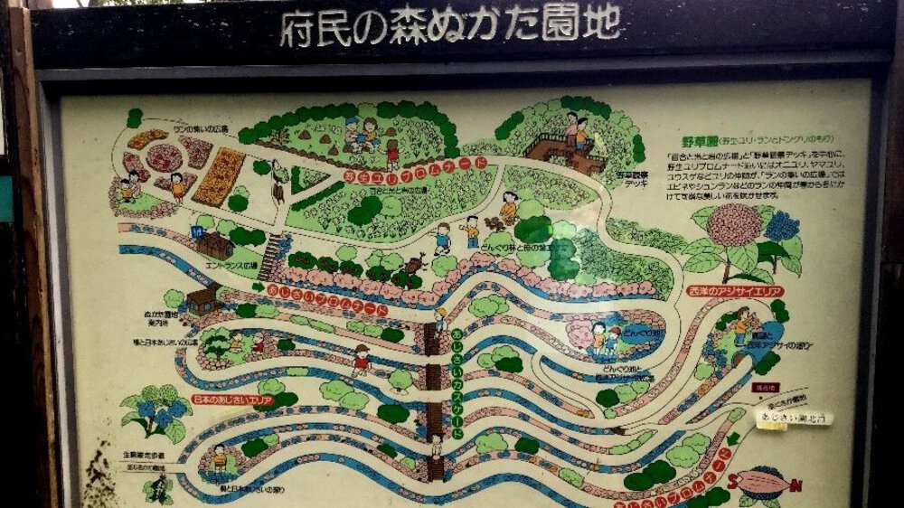 夏場の脚作りに【生駒ボルダー】の写真10