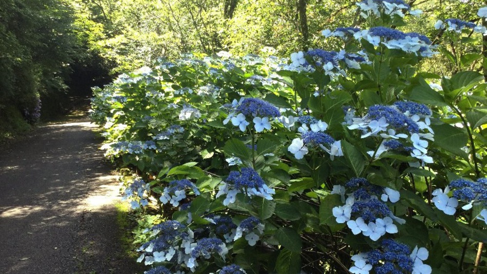 夏場の脚作りに【生駒ボルダー】の写真11