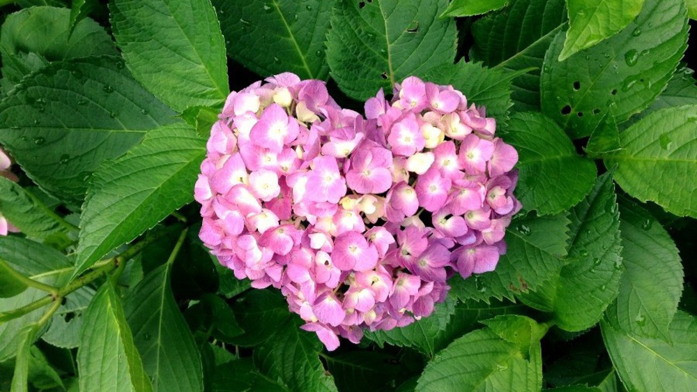 夏場の脚作りに【生駒ボルダー】の写真12