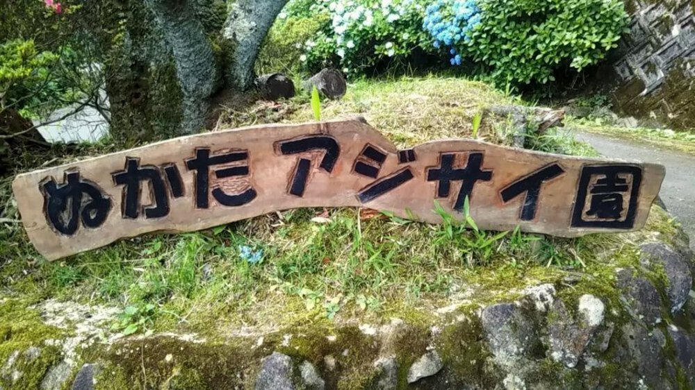 夏場の脚作りに【生駒ボルダー】の写真13