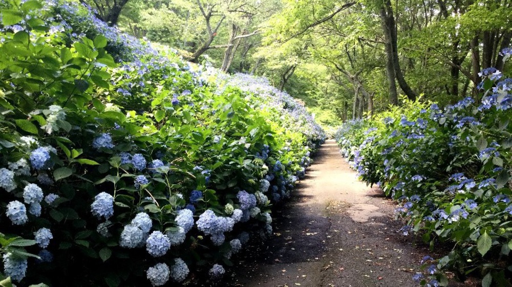 夏場の脚作りに【生駒ボルダー】の写真14