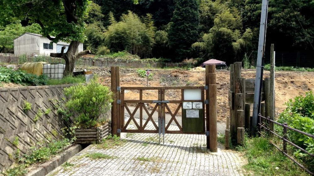 夏場の脚作りに【生駒ボルダー】の写真15