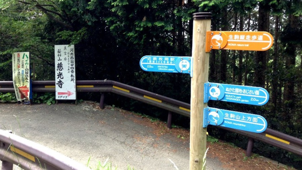 夏場の脚作りに【生駒ボルダー】の写真17