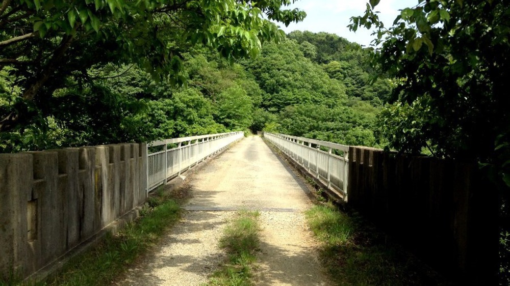 夏場の脚作りに【生駒ボルダー】の写真20