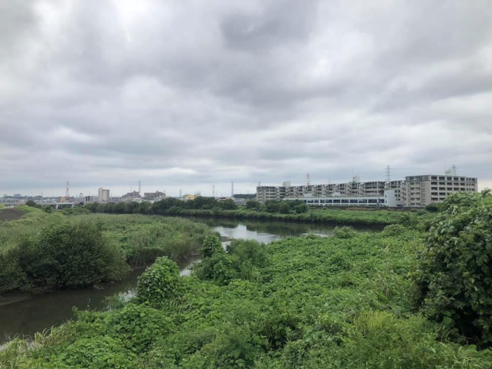 元住吉から武蔵小杉（遠回り）の写真3