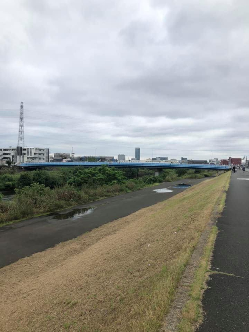 元住吉から武蔵小杉（遠回り）の写真4