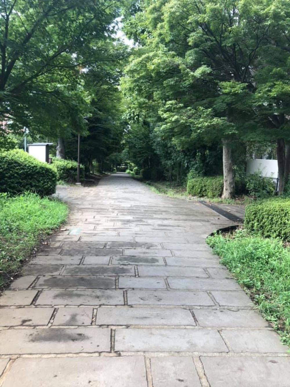 元住吉から武蔵小杉（遠回り）の写真6